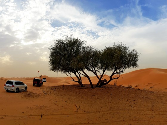 abu dhabi desert safari full day a