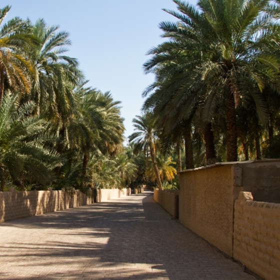 abu dhabi places to visit al ain oasis 1