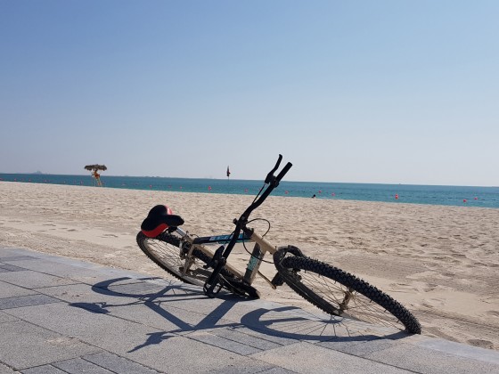 abu dhabi cycling hudayriat island (5)
