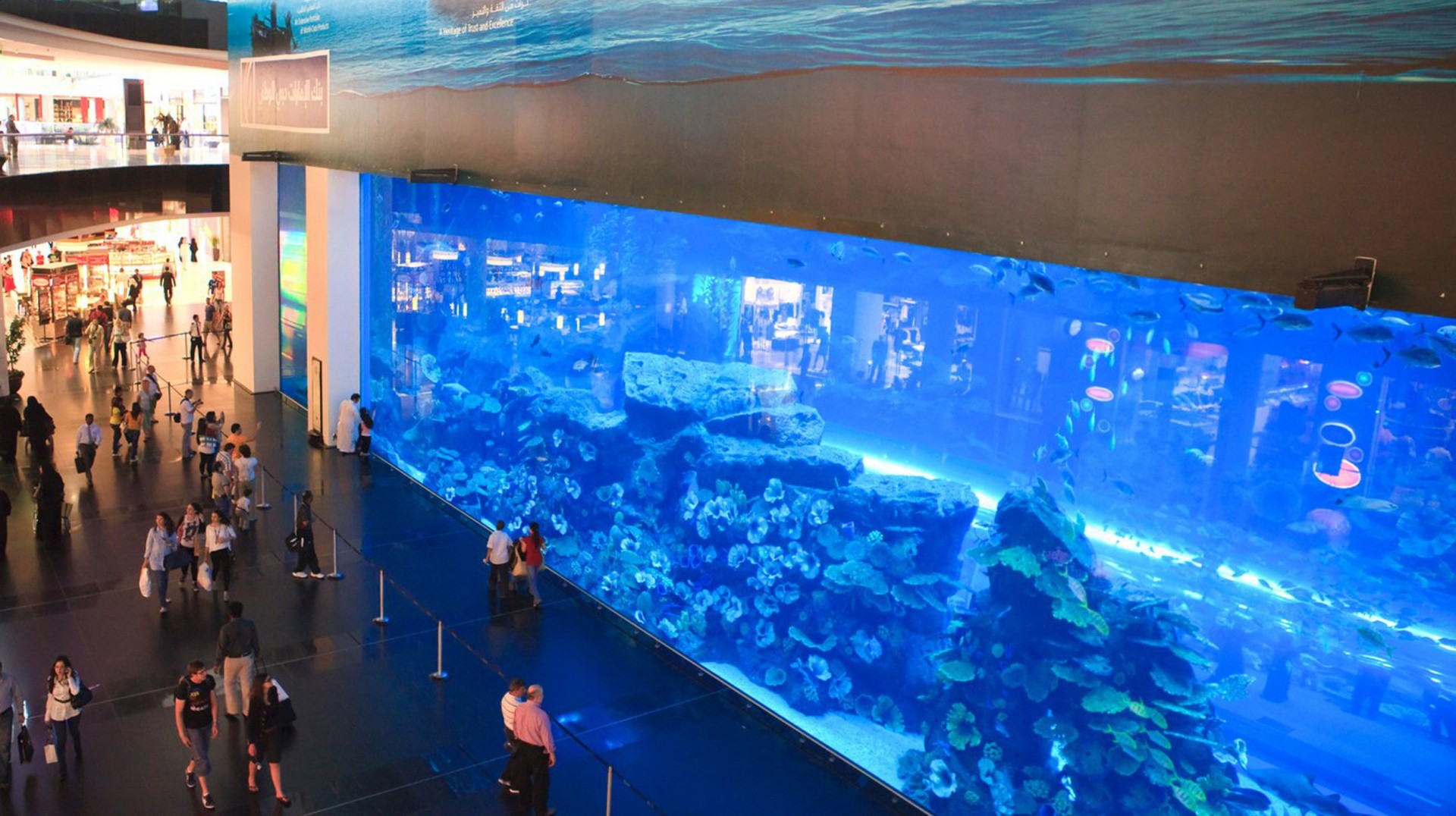 Dubai Full Day City Tour Citytours Uae