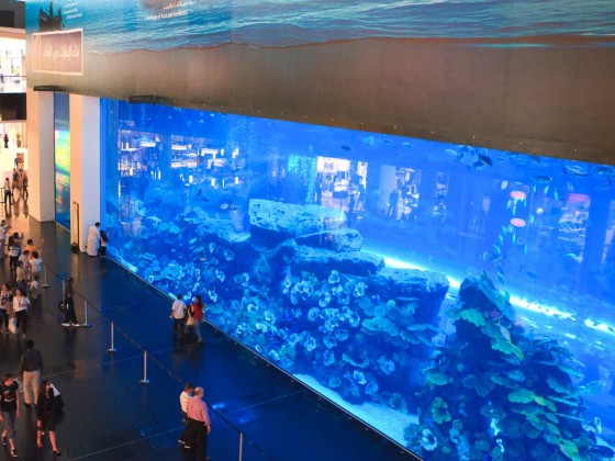 dubai city tour aquarium