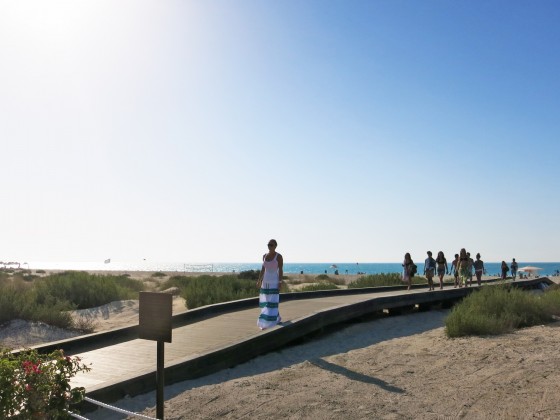 saadiyat beach abu dhabi