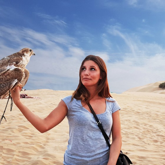 dubai desert safari falcon