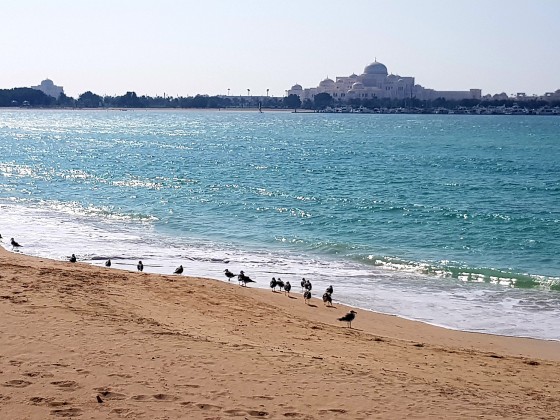 abu dhabi emirates palace hotel beach a