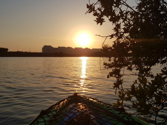 kajak fahren in abu dhabi