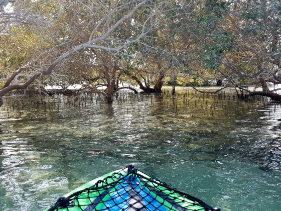 kayak rental abu dhabi