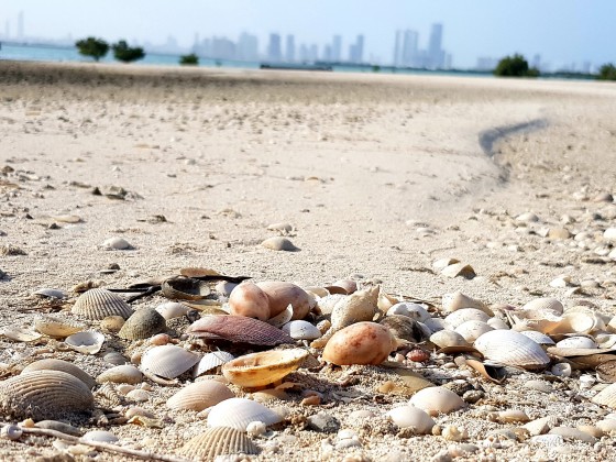 kayaking abu dhabi island tour a