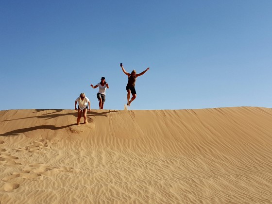 abu dhabi desert safari half day tour