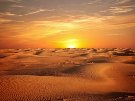 abu dhabi sunrise desert safari 1