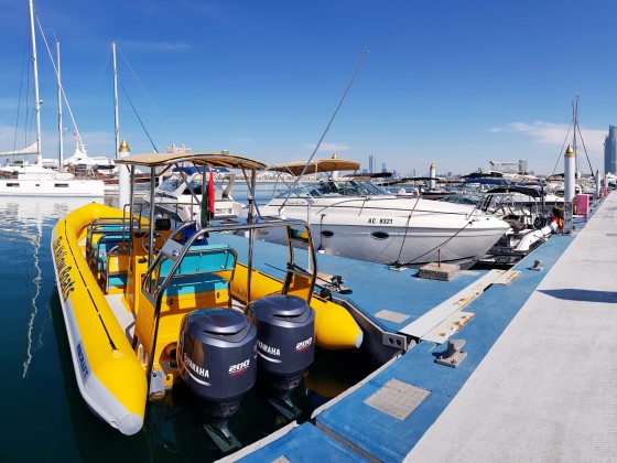 abu dhabi yellow boats marina