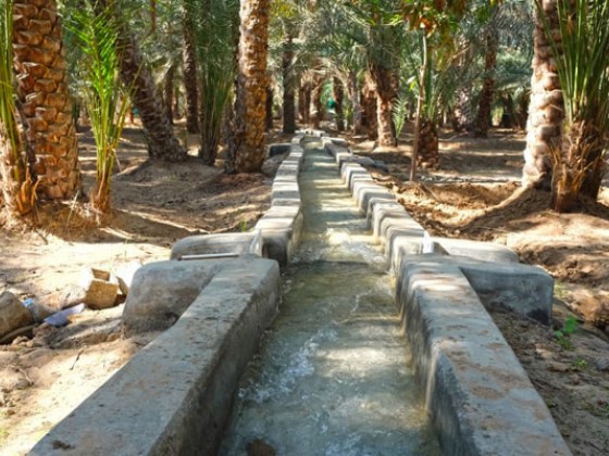 abu dhabi places to visit al ain oase