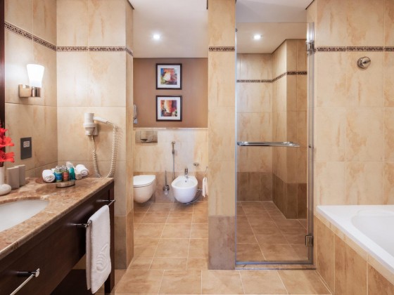 abu dhabi khalidiya palace rayhaan hotel rooms bathroom