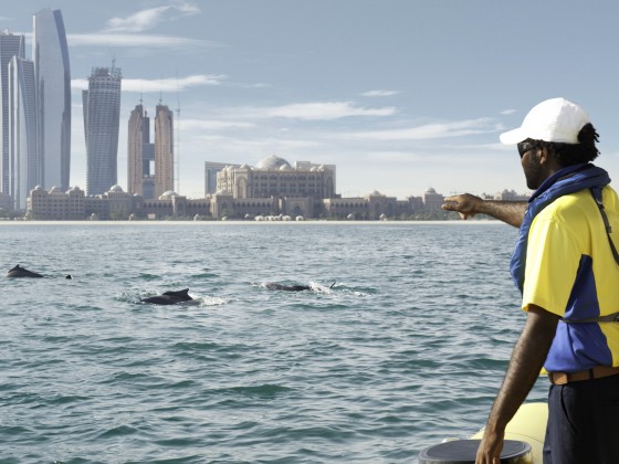 abu dhabi holidays yellow boat dolphins