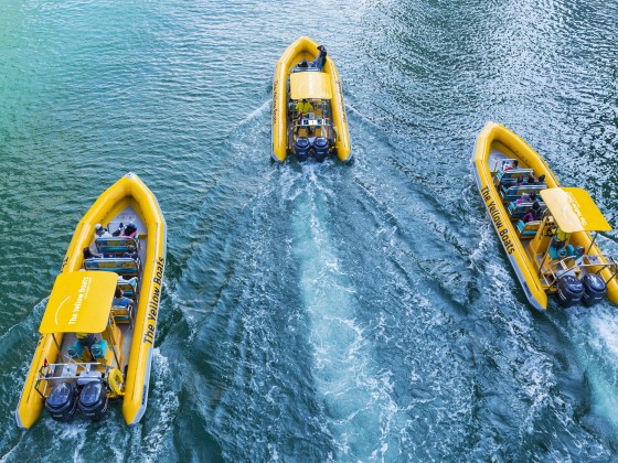 abu dhabi boat tour yellow boats